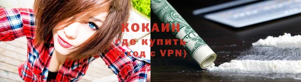 твердый Абаза