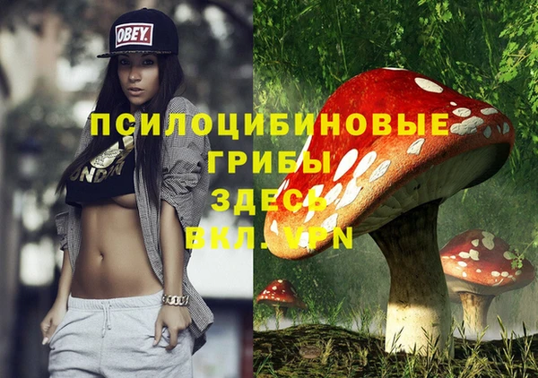 трава Осинники