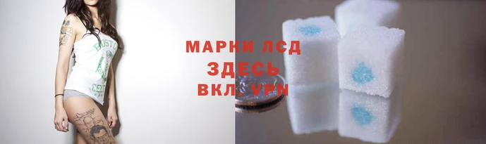 твердый Абаза