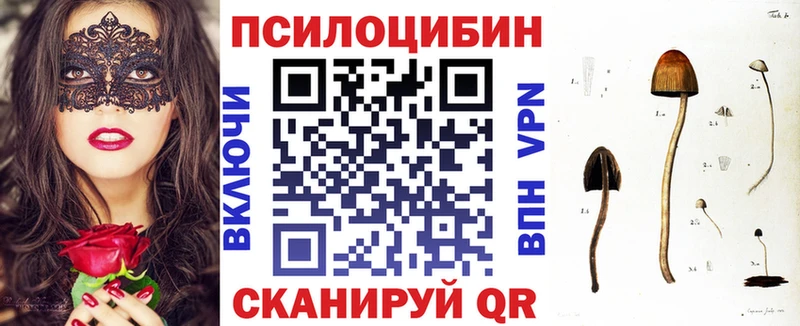 где найти наркотики  Шиханы  Галлюциногенные грибы GOLDEN TEACHER 